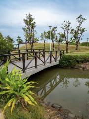 Linyuan Ocean Wetland Park