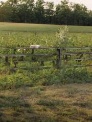 Hidden Meadow Farms