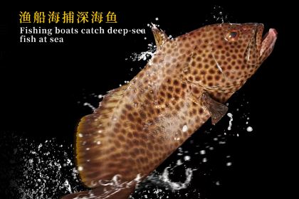 Dragon Court Restaurant