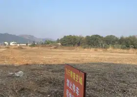 葛仙山滑翔傘基地