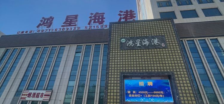 鸿星海港