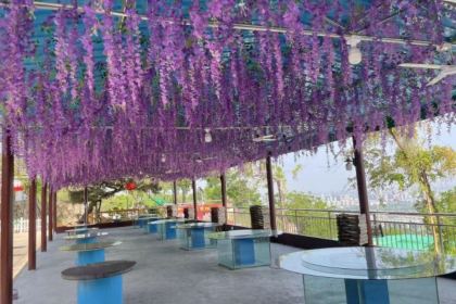 山水炒鸡·山水居