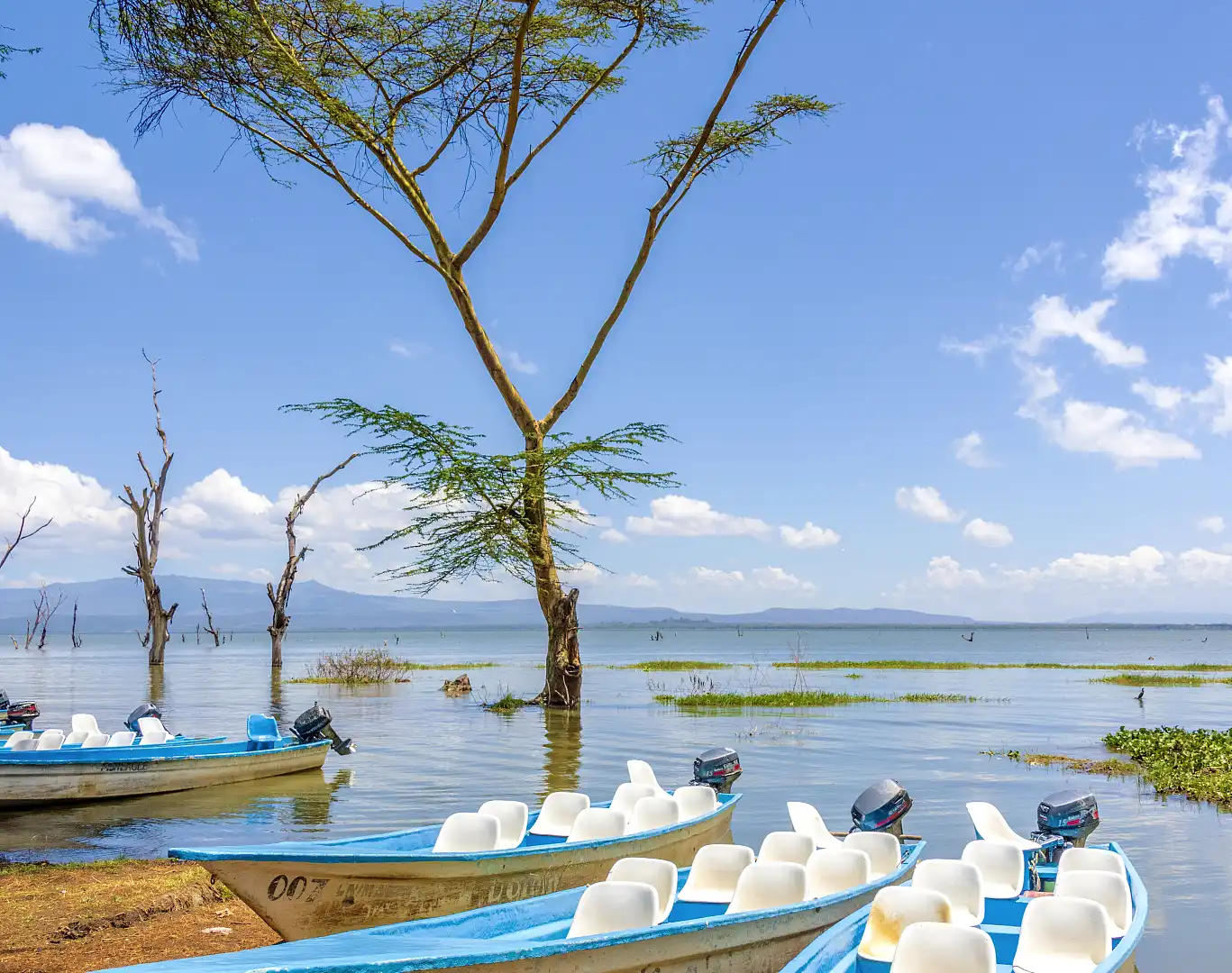 Hotels near Watamu Boat Rides Naivasha