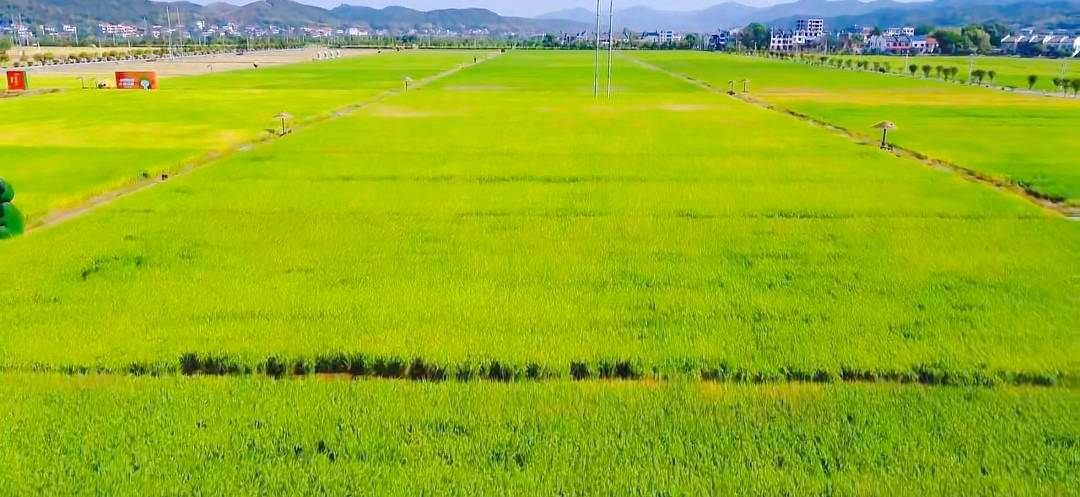 논밭 공원 티켓 할인, 운영 시간, 후기 [2025년] | Trip.com