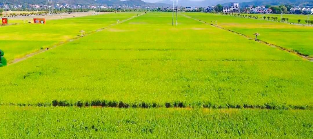 AnrenTravel Photography