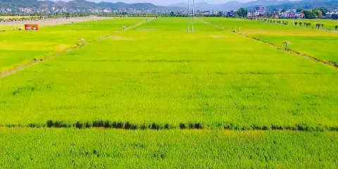 永樂江國家濕地公園