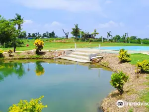 Attrazioni Termal a Viti Levu: le opzioni più popolari
