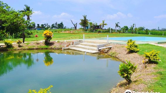Sabeto Hot Springs and Mud Pool