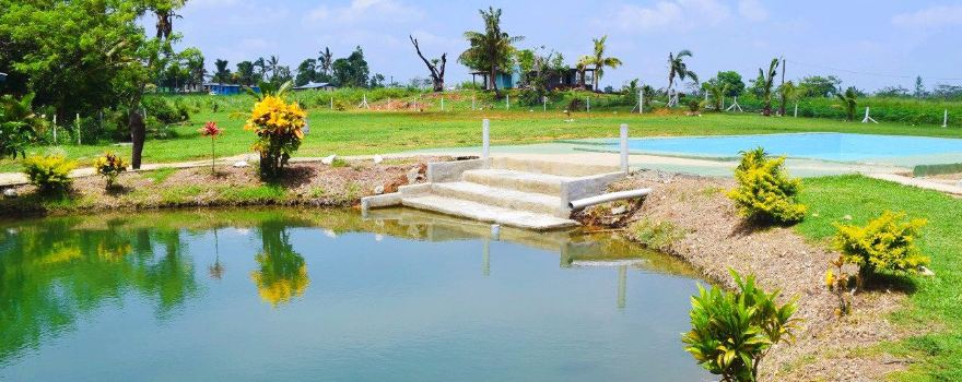 Sabeto Hot Springs and Mud Pool