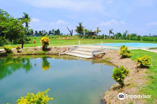 Sabeto Hot Springs and Mud Pool