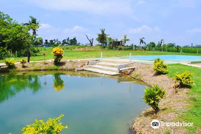 Sabeto Hot Springs and Mud Pool