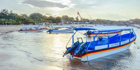 美娜多躍海大魚