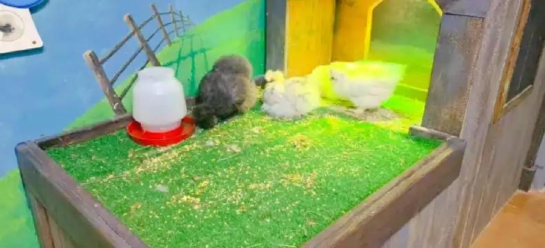 Hotels in Middlesex County