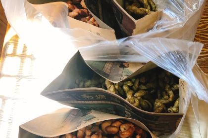 SOUTH POND OIL ZANZIBA