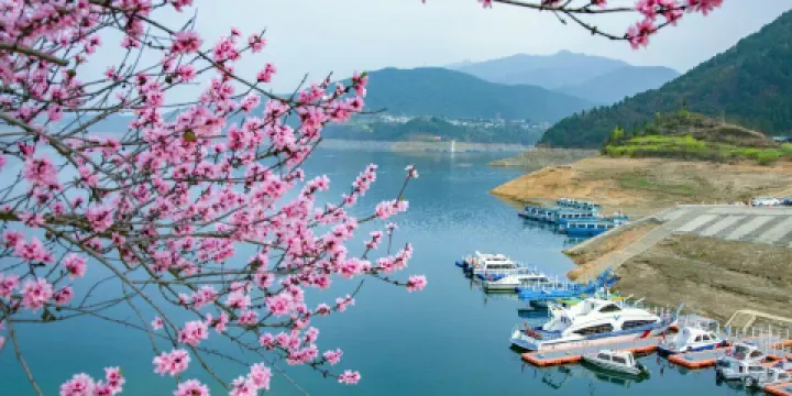 白龍湖幸福島景區