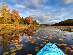 Black Moshannon Lake Boat Launch #1