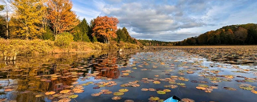 Black Moshannon Lake Boat Launch #1