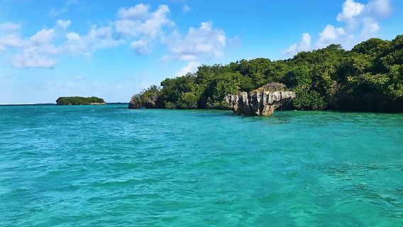 Mafia Island