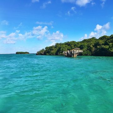 Mafia Island
