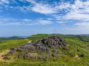 Hongshi Forest, Guizhou