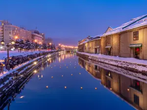 小樽雪燈路