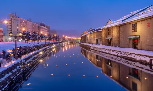 Otaru Snow Light Path