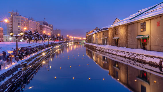 Otaru Snow Light Path