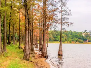 Huguangyan Scenic Area