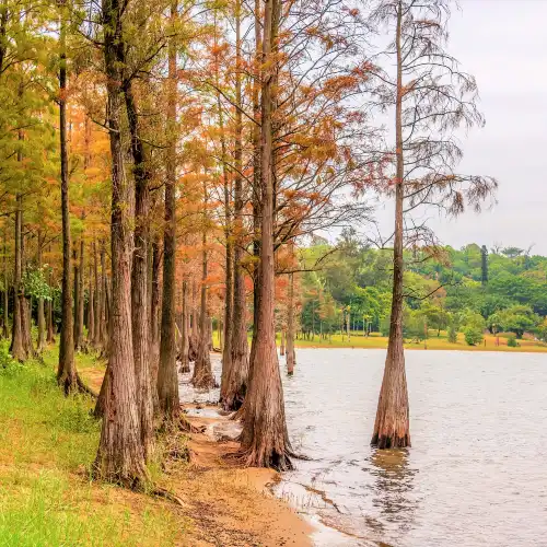Popular Fall Viewing Attractions in Zhanjiang