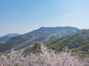 和談の森