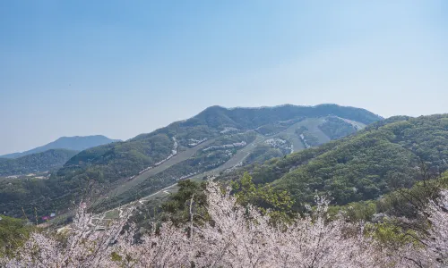 和談林