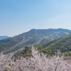 화담숲