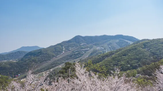 人氣景點