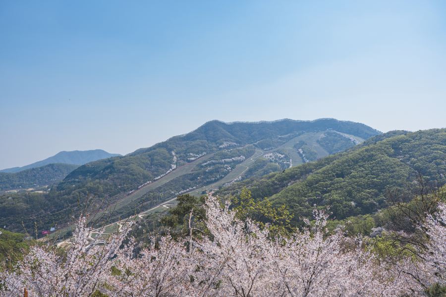 和談林