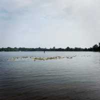 Hidden gems in Amnat Charoen