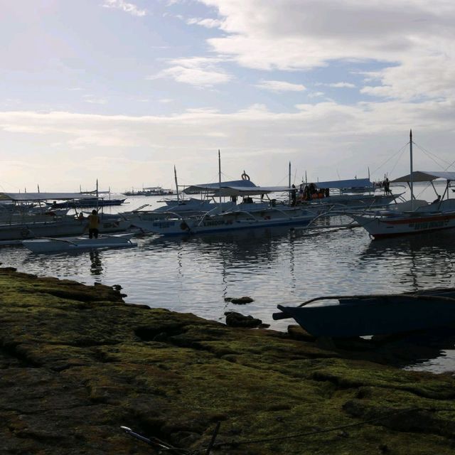 Marine sanctuary of Balicasag