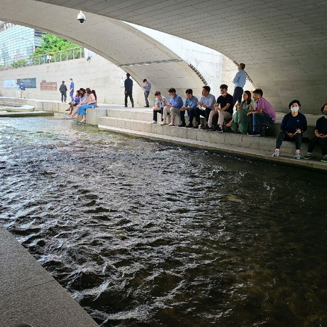 광화문에서 점심먹고 청계천 산책!