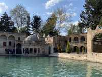 Abraham Pool Lake