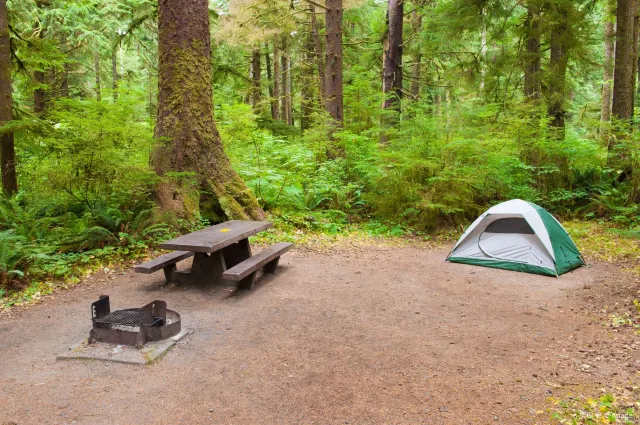 Top 9 U.S. Camping & Campgrounds in Summer 2025