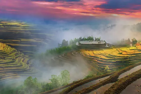 Taoyuan Terraces