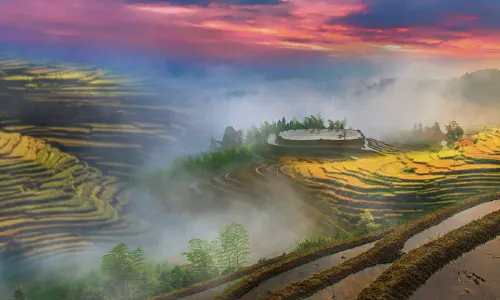 Terrace Scenic Spot In Taoyuan