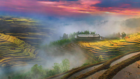 Suichuan