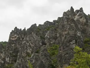 春湾風景区