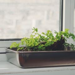 胖子面 User Photo