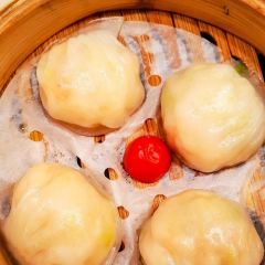 GUANG ZHOU DIM DOU DUK User Photo