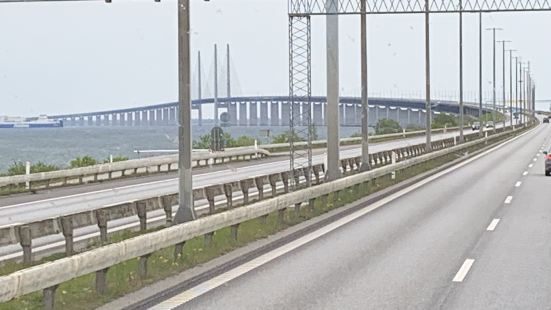 厄勒大桥是一架国际跨海大桥，连接丹麦的首都哥本哈根自治市和瑞