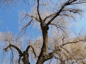 Lanshan Park