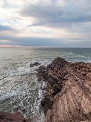 Rock Row Landscape