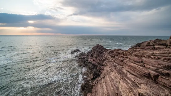 Rock Row Landscape