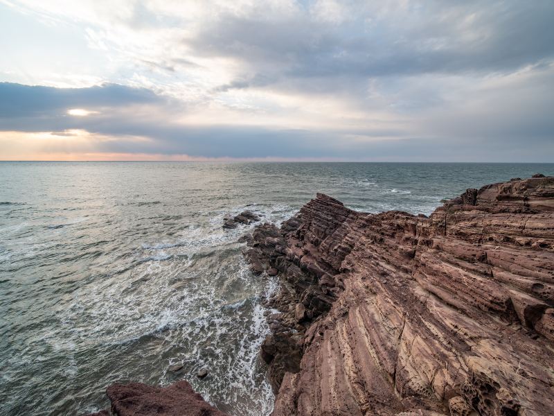 Rock Row Landscape